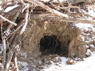 Dirt Cave
