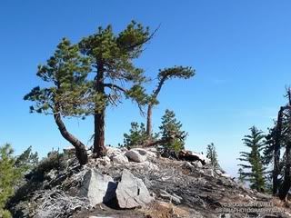 Three Tree Cliff