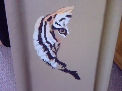 Photo-0003-6.jpg