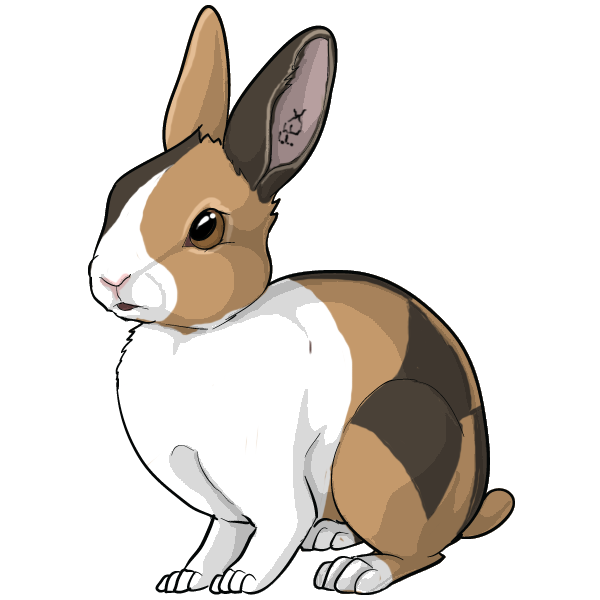 Rabbit Breeding Game Beta Art Rabbits Online Pet Rabbit & Bunny Forum