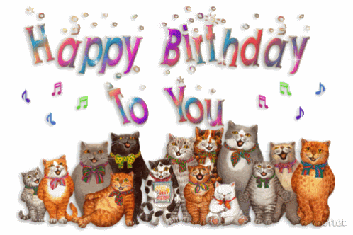 Birthday cats Pictures, Images and Photos