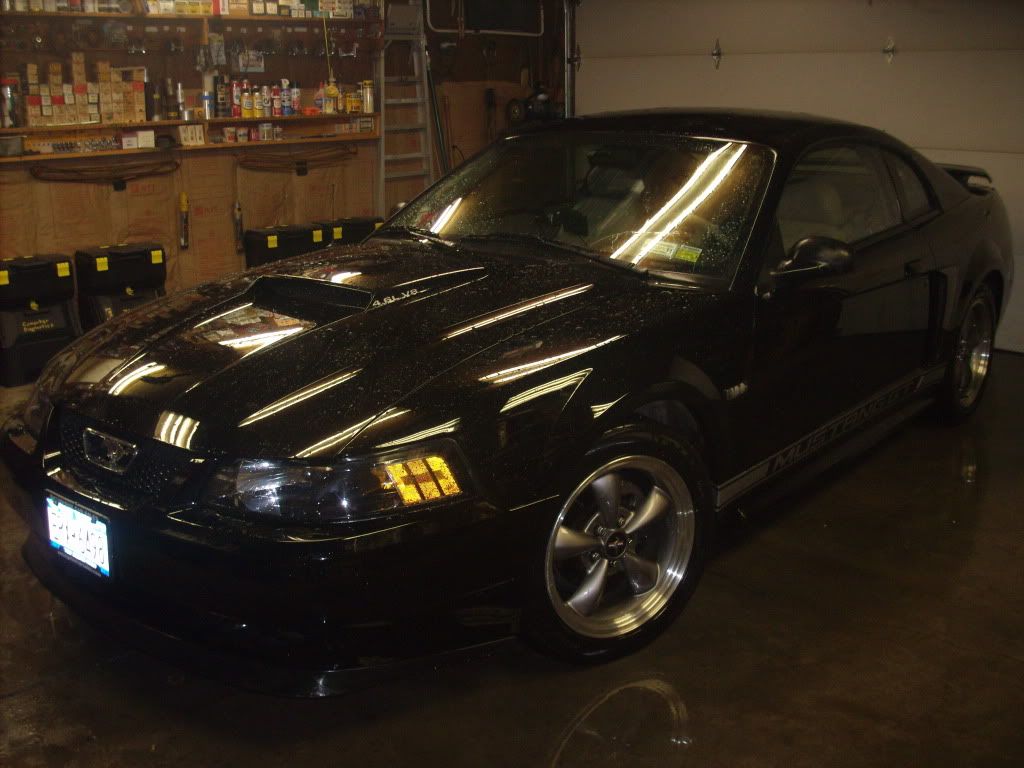 http://i759.photobucket.com/albums/xx233/codycat91/Mustang/001-2.jpg