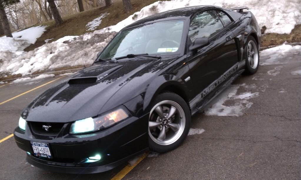 http://i759.photobucket.com/albums/xx233/codycat91/Mustang/IMAG0018.jpg