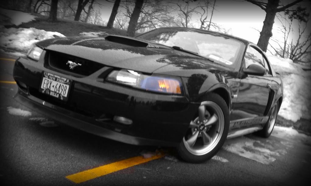 http://i759.photobucket.com/albums/xx233/codycat91/Mustang/IMAG0021-1.jpg