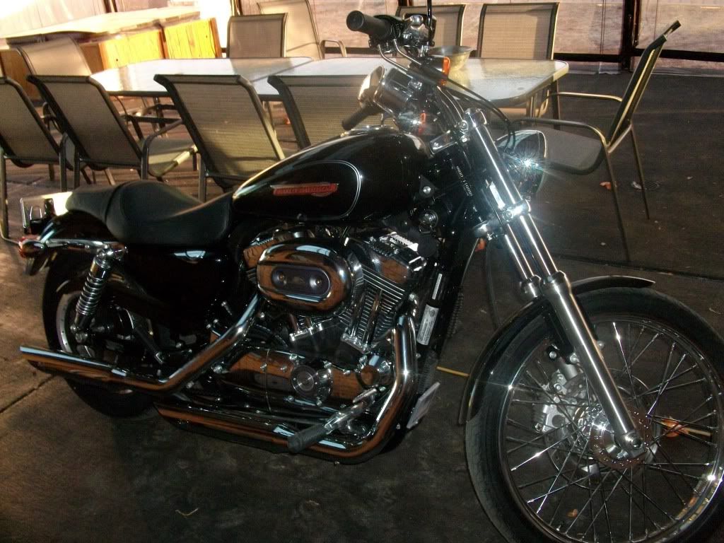 this is my 2010 1200 custom 