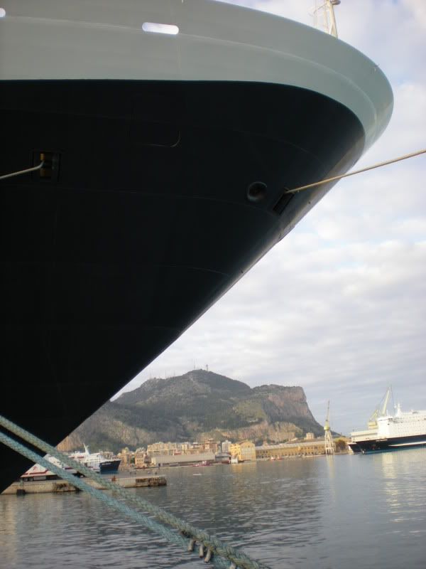 DSCN2342.jpg