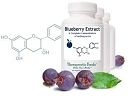 Blueberry Extract by BioImmersion
