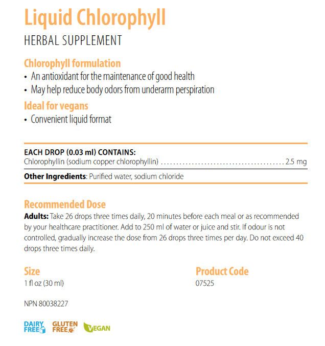  photo Liquid Chlorophyll.jpg