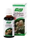 Cardiaforce Heart Drops 1.7-oz by A. Vogel