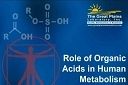Organic Acids Test (OAT) - Nutritional & Metabolic Profile