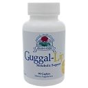 Guggal-Lip 300mg 90c by Ayush Herbs