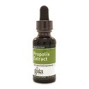 Propolis/Bee Harvested Resin 1oz by Gaia Herbs-Professional Solutions