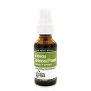 Echinacea/Gold Propolis Throat Spray 1oz by Gaia Herbs-Professional Solutions