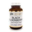 Black Elderberry 60c by Gaia Herbs-Professional Solutions