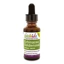 Echinacea/Goldenseal(Children)A/F 2oz by Gaia Herbs-Professional Solutions