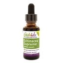 Echinacea/Supreme For Children A/F 2oz by Gaia Herbs-Professional Solutions