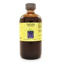 Foeniculum vulgare - bitter fennel 2oz by Wise Woman Herbals