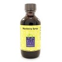 Blueberry Syrup 2oz by Wise Woman Herbals
