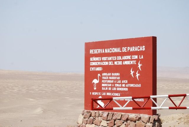 PARACAS - ISLAS BALLESTAS - RESERVA DE PARACAS – ICA (Laguna Huacachina) - SABORES DE PERU (16)