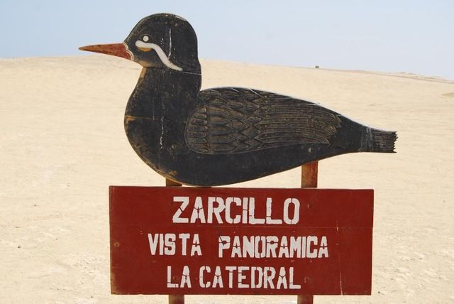 PARACAS - ISLAS BALLESTAS - RESERVA DE PARACAS – ICA (Laguna Huacachina) - SABORES DE PERU (23)