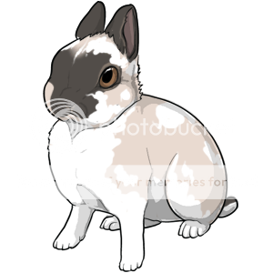 Rabbit Breeding Game Beta Art | Rabbits Online Pet Rabbit & Bunny Forum