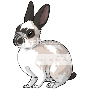 Rabbit Breeding Game Beta Art | Rabbits Online Pet Rabbit & Bunny Forum