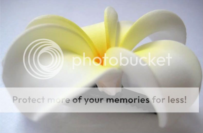   Flower Bridal Wedding Party Hair Clip White Yellow Plumeria  