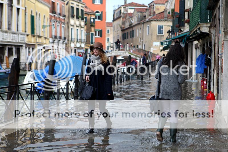 https://i759.photobucket.com/albums/xx238/z_nataly/Venezia%20acqua%20alta%202013/IMG_9346_zps0e8817c7.jpg